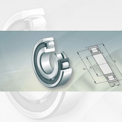 Bearing FAG Barrel Roller Bearings