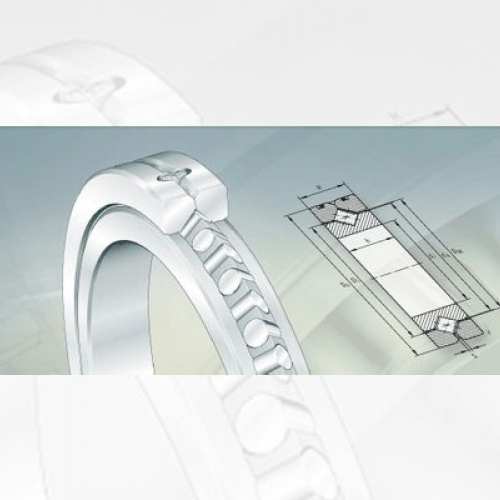 Bearing FAG Crossed Roller Bearings