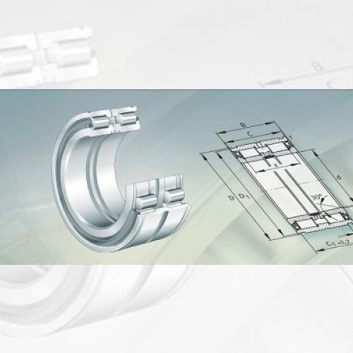 Bearing FAG Cylindrical Roller Bearings With Snap Ring Grooves