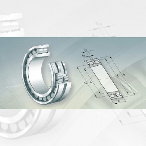 Bearing FAG High Precision Cylindrical Roller Bearings