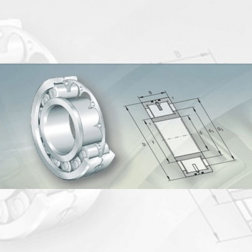 Bearing FAG Low-Friction Cylindrical Roller Bearings