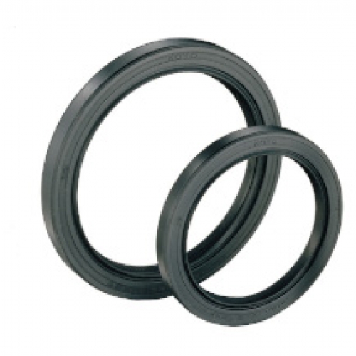 Oil Seals