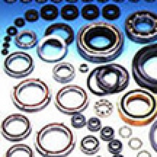 Special Environment EXSEV Bearings