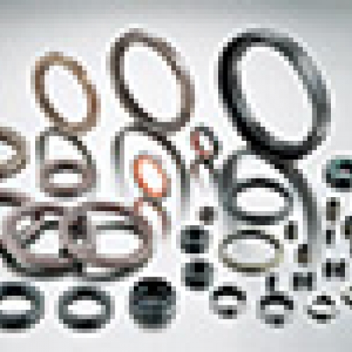 Various Oil Seals